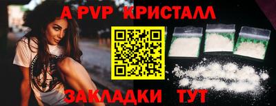 прущие грибы Усть-Илимск