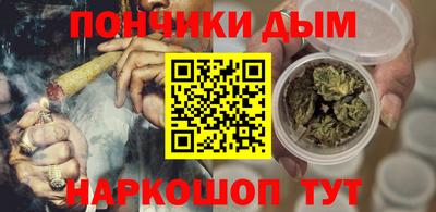 прущие грибы Усть-Илимск